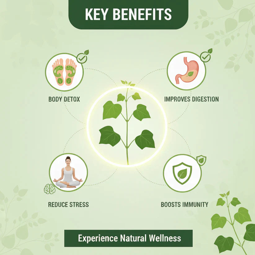 Herbal Giloy Patches 🌿✨ (Buy 1 Get 1 Free🔥🔥)